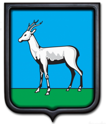 Герб Самары 35х43 см, печатный, темная рамка