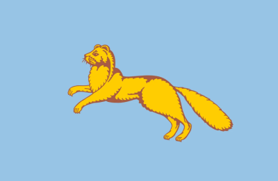 Флаг Шадринска 90х135 см Флаг Шадринска 90х135 см